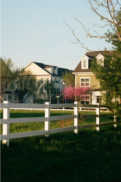 An example of a home around some foliage